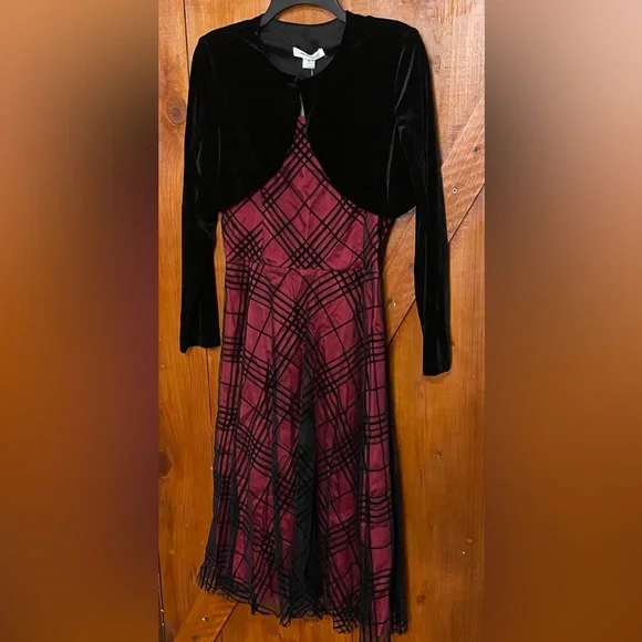 NWT Coldwater Creek Sheer Mesh Jacketed Dress Sz 8 - Picture 5 of 16